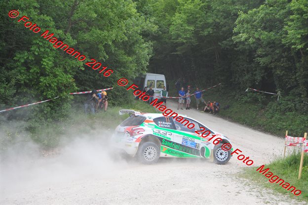 DSC_6465.JPG